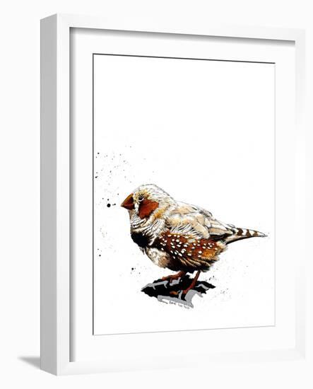 The Zebrafinch on White, 2019, (Pen and Ink)-Mike Davis-Framed Giclee Print