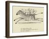 The Zigzag Zealous Zebra-Edward Lear-Framed Giclee Print