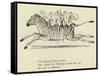 The Zigzag Zealous Zebra-Edward Lear-Framed Stretched Canvas