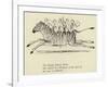 The Zigzag Zealous Zebra-Edward Lear-Framed Giclee Print