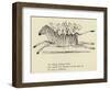 The Zigzag Zealous Zebra-Edward Lear-Framed Giclee Print