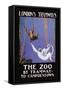The Zoo Monkeys-null-Framed Stretched Canvas