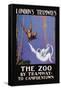 The Zoo Monkeys-null-Framed Stretched Canvas