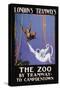 The Zoo Monkeys-null-Stretched Canvas