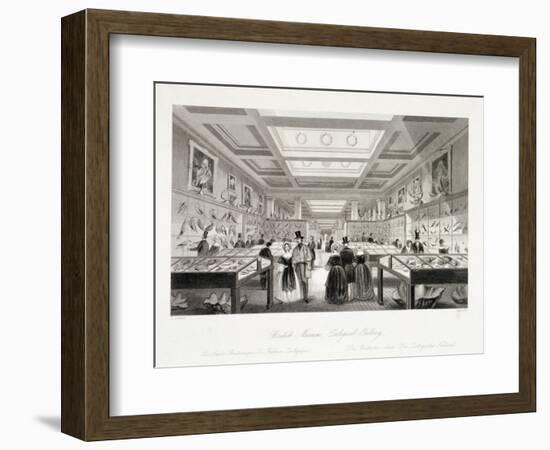 The Zoological Gallery, British Museum, Holborn, London, C1850-William Radclyffe-Framed Giclee Print