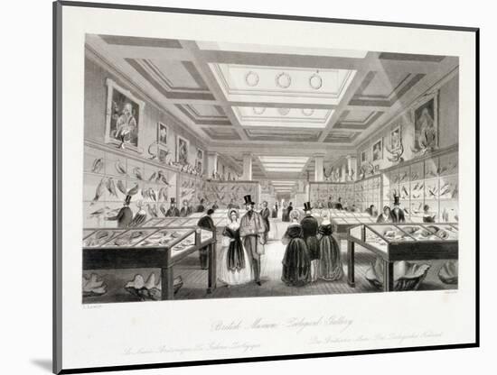 The Zoological Gallery, British Museum, Holborn, London, C1850-William Radclyffe-Mounted Giclee Print