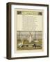 The Zoological Gardens-Thomas Crane-Framed Giclee Print