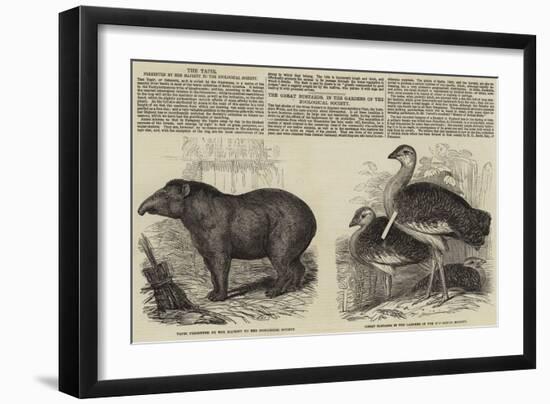 The Zoological Society, London-null-Framed Giclee Print