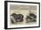 The Zoological Society, London-null-Framed Giclee Print