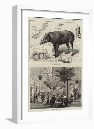 The Zoological Society's Gardens-null-Framed Giclee Print