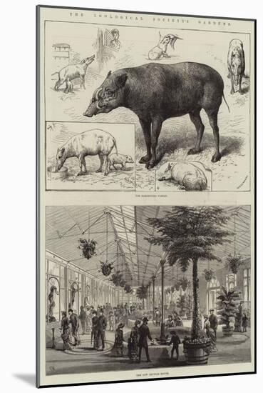 The Zoological Society's Gardens-null-Mounted Giclee Print