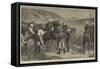 The Zulu War, in Search of Cetewayo, Are Those Zulus There?-Frank Dadd-Framed Stretched Canvas