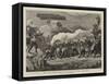 The Zulu War, Some Difficulties of the Campaign-null-Framed Stretched Canvas