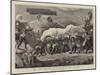 The Zulu War, Some Difficulties of the Campaign-null-Mounted Giclee Print