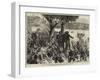 The Zulu War, Troops Crossing the Tugela under the Inspection of Lord Chelmsford-null-Framed Giclee Print