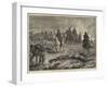 The Zulu War, Volunteers Burning Kraals and Driving Away Cattle-null-Framed Giclee Print