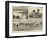 The Zulu War-null-Framed Giclee Print