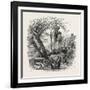 The Zwinger, Dresden, Germany, 19th Century-null-Framed Giclee Print