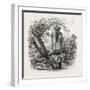 The Zwinger, Dresden, Germany, 19th Century-null-Framed Giclee Print