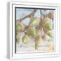 White Frame