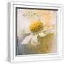 White Frame