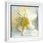 White Frame