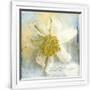 Gramercy White