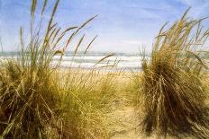 Dune Grass 4-Thea Schrack-Giclee Print