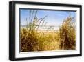 Black Frame