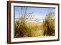 Brown Frame