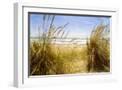 White Frame
