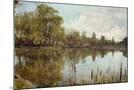 Wood Mount