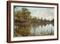 Brown Frame