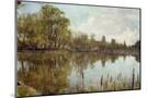 Wood Mount