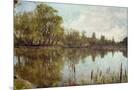 Wood Mount