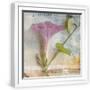 White Frame