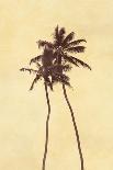 Palm Vista I-Thea Schrack-Giclee Print