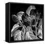 Canvas Black