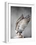 Thea-Design Fabrikken-Framed Photographic Print