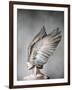 Thea-Design Fabrikken-Framed Photographic Print