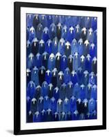 Theatre (Blue Bears at the Theatre), 2016-Holly Frean-Framed Giclee Print