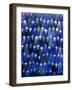 Theatre (Blue Bears at the Theatre), 2016-Holly Frean-Framed Premium Giclee Print