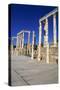 Theatre, Leptis Magna, Libya, 1-2 Ad-Vivienne Sharp-Stretched Canvas