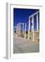 Theatre, Leptis Magna, Libya, 1-2 Ad-Vivienne Sharp-Framed Photographic Print