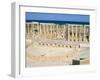 Theatre, Leptis Magna, UNESCO World Heritage Site, Tripolitania, Libya, North Africa, Africa-Sergio Pitamitz-Framed Photographic Print