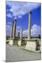 Theatre, Sbeitla, Tunisia-Vivienne Sharp-Mounted Photographic Print