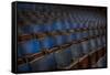 Theatre Seating-Nathan Wright-Framed Stretched Canvas