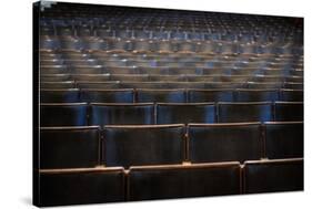 Theatre Seating-Nathan Wright-Stretched Canvas