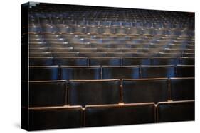 Theatre Seating-Nathan Wright-Stretched Canvas
