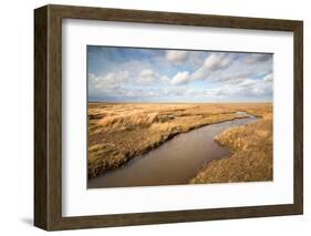 Theddlethorpe Dunes, Lincolnshire Coast, Lincolnshire, England, United Kingdom, Europe-Bill Ward-Framed Photographic Print